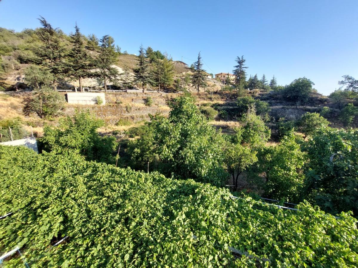 Agros Green Valley Suites Limassol Ngoại thất bức ảnh